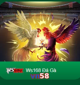 vn58